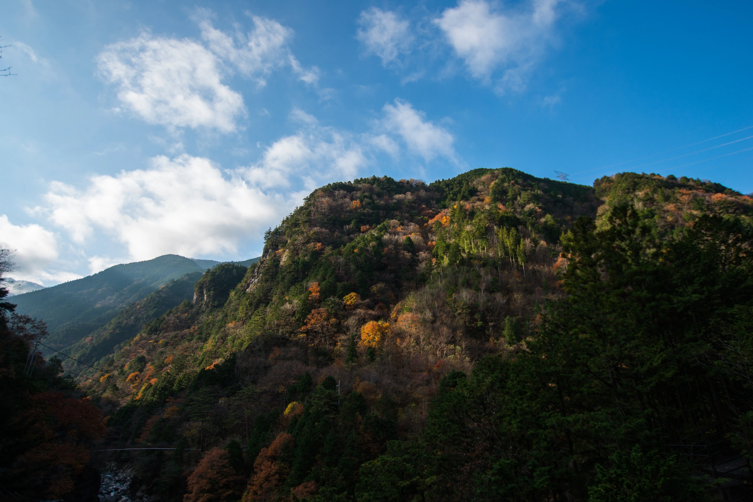 Mitarai[1].webp